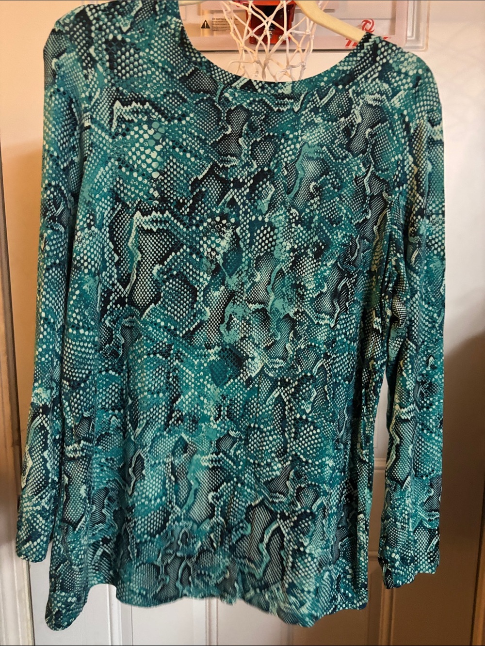 Chico's Teal Snake-Print Long Sleeve Blouse